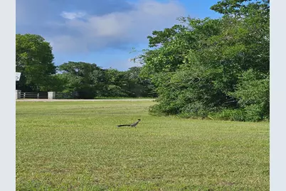 5924 Wild Horse Run, College Station, TX 77845 - Photo 7