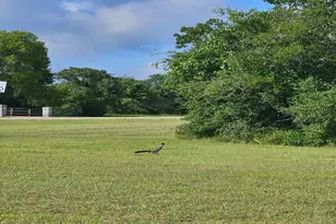 5924 Wild Horse Run, College Station, TX 77845 - Photo 7