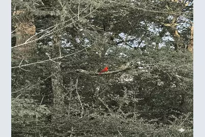 5924 Wild Horse Run, College Station, TX 77845 - Photo 37