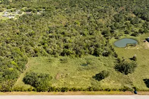 0 County Road 510 Rd, Brazoria, TX 77486 - Photo 1