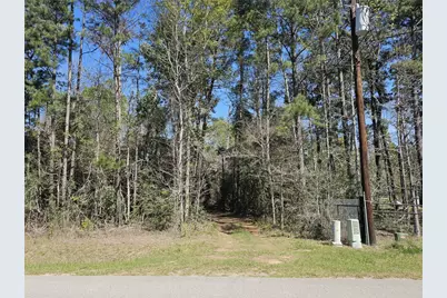 180 Hall Drive S, Montgomery, TX 77316 - Photo 3