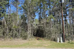 180 Hall Dr S, Montgomery, TX 77316 - Photo 3