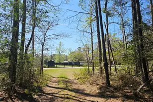 180 Hall Dr S, Montgomery, TX 77316 - Photo 5