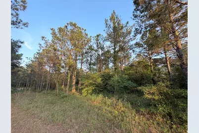 9130 Black Buck Lane, Conroe, TX 77303 - Photo 3