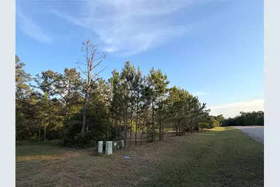 9130 Black Buck Lane, Conroe, TX 77303 - Photo 5