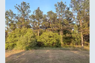 9130 Black Buck Lane, Conroe, TX 77303 - Photo 1