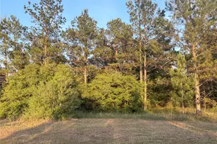 9130 Black Buck Ln, Conroe, TX 77303 - Photo 1