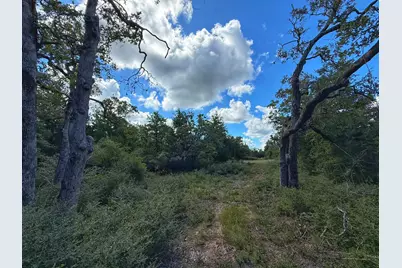 3803 Pr 4100, Marquez, TX 77865 - Photo 9