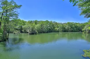 66 Artesian Ave, Cleveland, TX 77327 - Photo 35