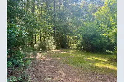 4720 B Hwy 21 E, Hemphill, TX 75948 - Photo 9