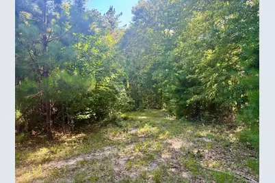 4720 B Hwy 21 E, Hemphill, TX 75948 - Photo 7