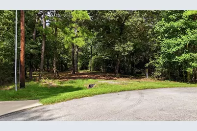 27126 Bearclaw Court, Magnolia, TX 77355 - Photo 13