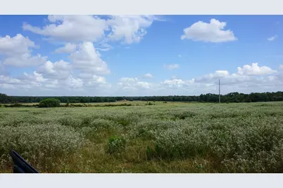0 Hranicky Road, Schulenburg, TX 78956 - Photo 5