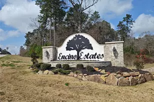 88 County Road 6614, Dayton, TX 77535 - Photo 1