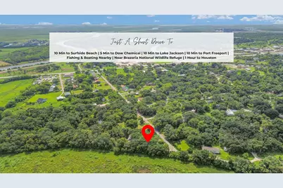 432 Robinson Road, Oyster Creek, TX 77541 - Photo 43