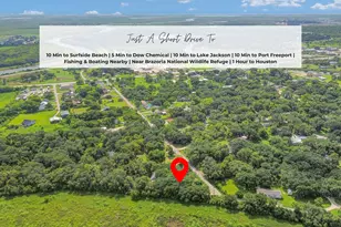432 Robinson Rd, Oyster Creek, TX 77541 - Photo 43