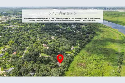 432 Robinson Road, Oyster Creek, TX 77541 - Photo 47