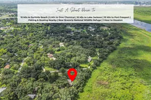 432 Robinson Rd, Oyster Creek, TX 77541 - Photo 47