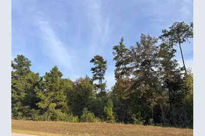 344 Iron Horse Road, Willis, TX 77378 - Photo 3