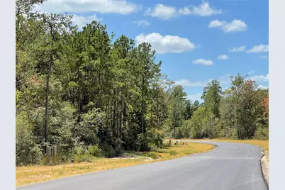 344 Iron Horse Road, Willis, TX 77378 - Photo 11