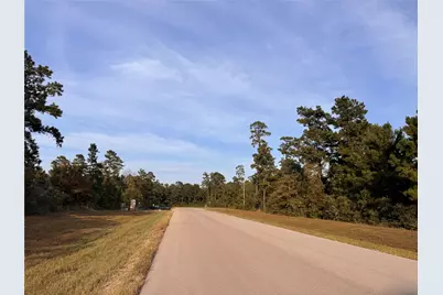 344 Iron Horse Road, Willis, TX 77378 - Photo 5