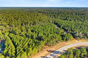 12696 Oak Barrel Rd, Willis, TX 77378 - Photo 9