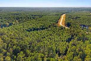 12696 Oak Barrel Rd, Willis, TX 77378 - Photo 7