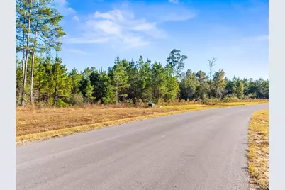 12696 Oak Barrel Road, Willis, TX 77378 - Photo 11