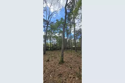 16020 N Loop Drive, Plantersville, TX 77363 - Photo 7