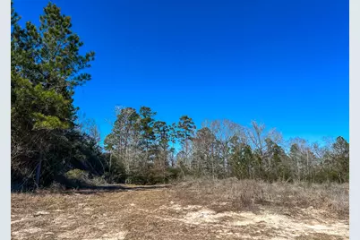 T-3 Cr 2140, Crockett, TX 75835 - Photo 7