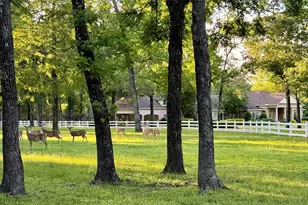 15216 Saddlewood Dr, Conroe, TX 77384 - Photo 11