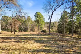 1291 E State Hwy 294, Elkhart, TX 75839 - Photo 23
