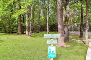 371 N Forest Cove Loop, Coldspring, TX 77331 - Photo 41