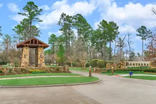 11 S Sandbells Park Ln, Montgomery, TX 77316 - Photo 3