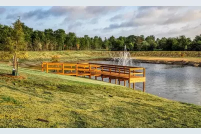 14936 Childress Ranch, Washington, TX 77880 - Photo 11