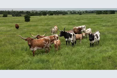 1716 Cr 469, Coupland, TX 78615 - Photo 9