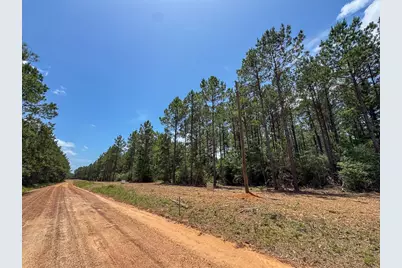 6 Benny Griffin Road, Livingston, TX 77351 - Photo 25