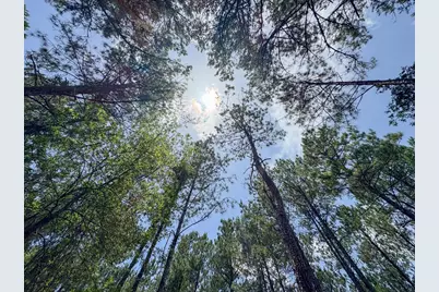 6 Benny Griffin Road, Livingston, TX 77351 - Photo 23