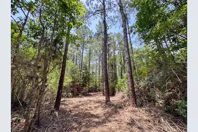 6 Benny Griffin Road, Livingston, TX 77351 - Photo 35