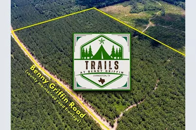 6 Benny Griffin Road, Livingston, TX 77351 - Photo 1