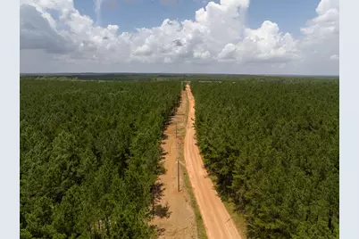 6 Benny Griffin Road, Livingston, TX 77351 - Photo 9