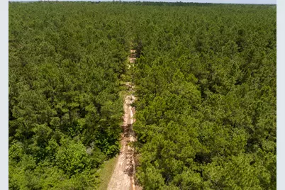 6 Benny Griffin Road, Livingston, TX 77351 - Photo 11