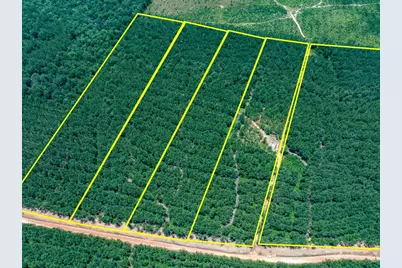 6 Benny Griffin Road, Livingston, TX 77351 - Photo 5