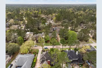 75 N Floral Leaf Circle, The Woodlands, TX 77381 - Photo 39