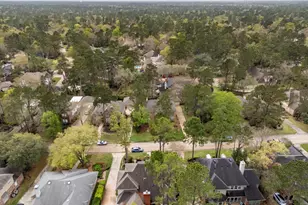 75 N Floral Leaf Cir, The Woodlands, TX 77381 - Photo 39