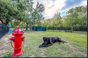 529 Barker Clodine Rd, Houston, TX 77094 - Photo 7