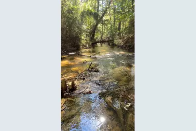 164 County Road 2127, Burkeville, TX 75932 - Photo 3