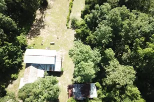 164 County Rd 2127, Burkeville, TX 75932 - Photo 5