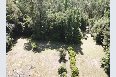 164 County Road 2127, Burkeville, TX 75932 - Photo 7