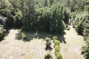 164 County Rd 2127, Burkeville, TX 75932 - Photo 7